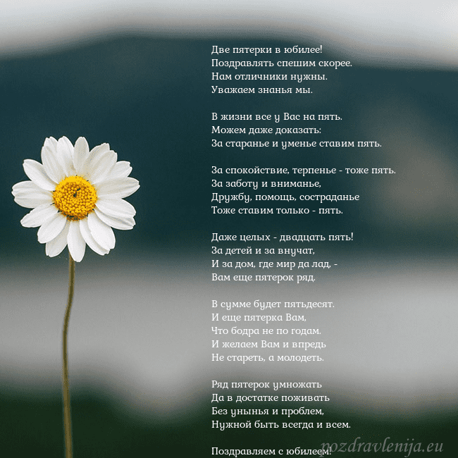 Электронная открытка с ромашкой Две пятерки в юбилее!
Поздравлять спешим скорее.
Н Электронная открытка с ромашкой