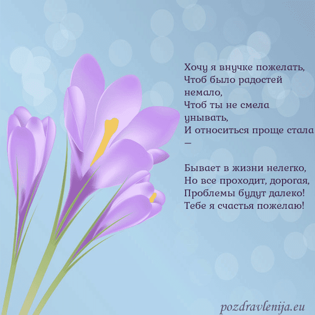 Открытка с крокусом