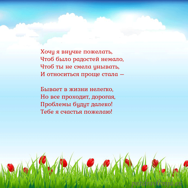 Открытка с тюльпанами