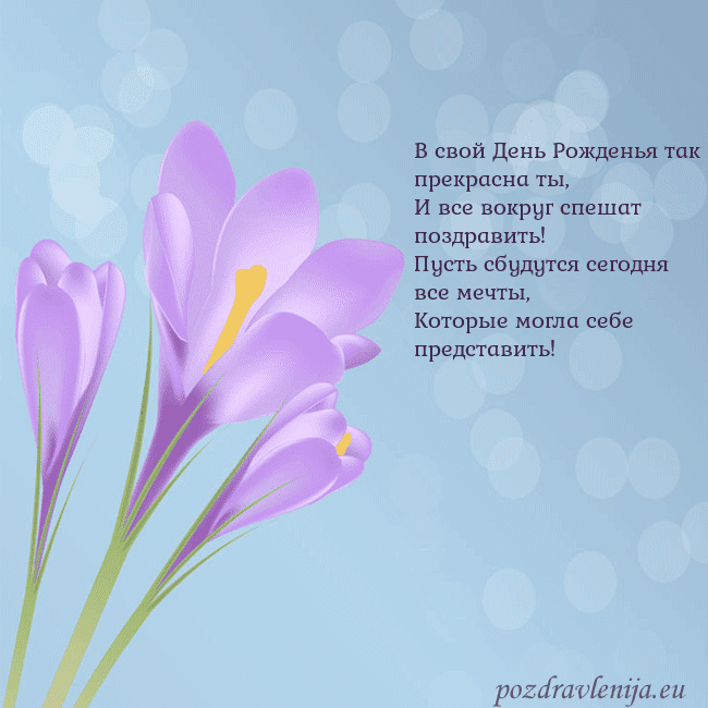 Открытка с крокусом