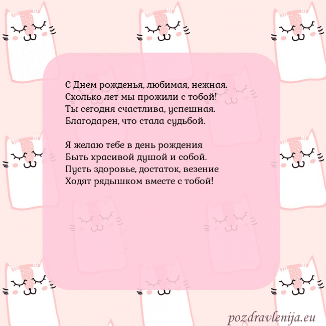 Розовая открытка с забавными кошками