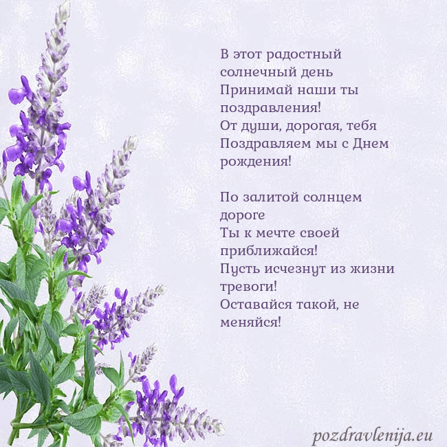 Открытка с люпинами