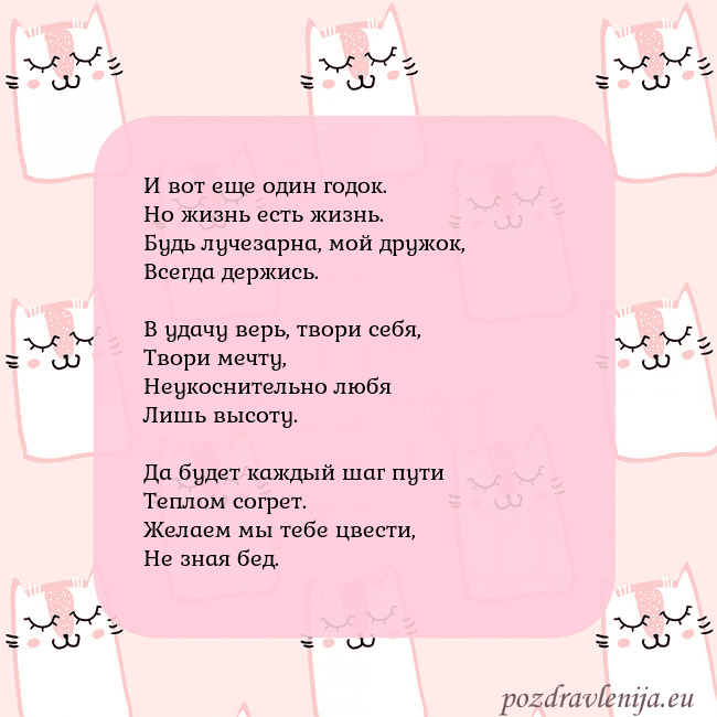 Розовая открытка с забавными кошками