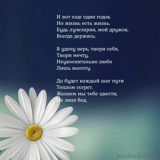 Открытка с большой ромашкой