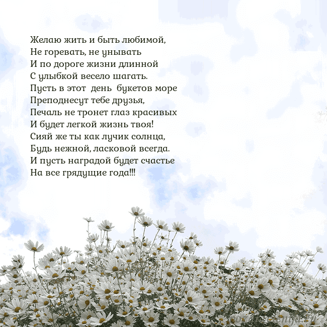 Открытка с ромашками