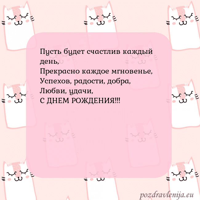 Розовая открытка с забавными кошками