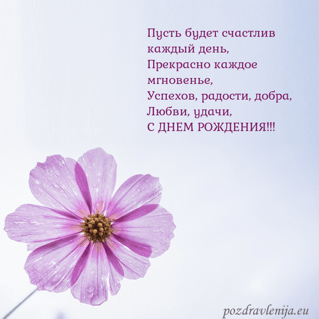 Электронная открытка с фиолетовым цветком