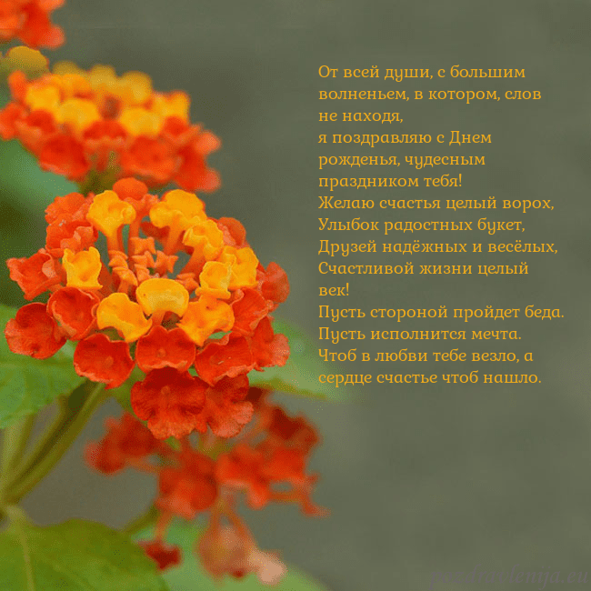 Открытка с оранжевыми цветами