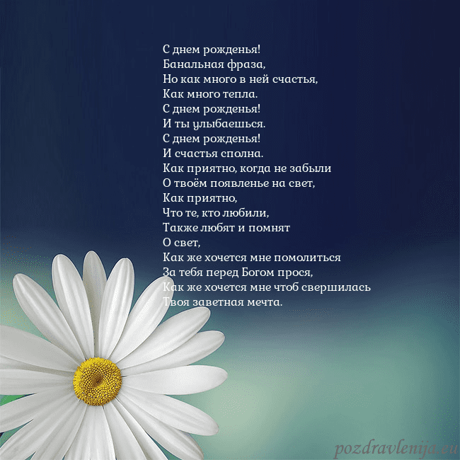 Открытка с большой ромашкой