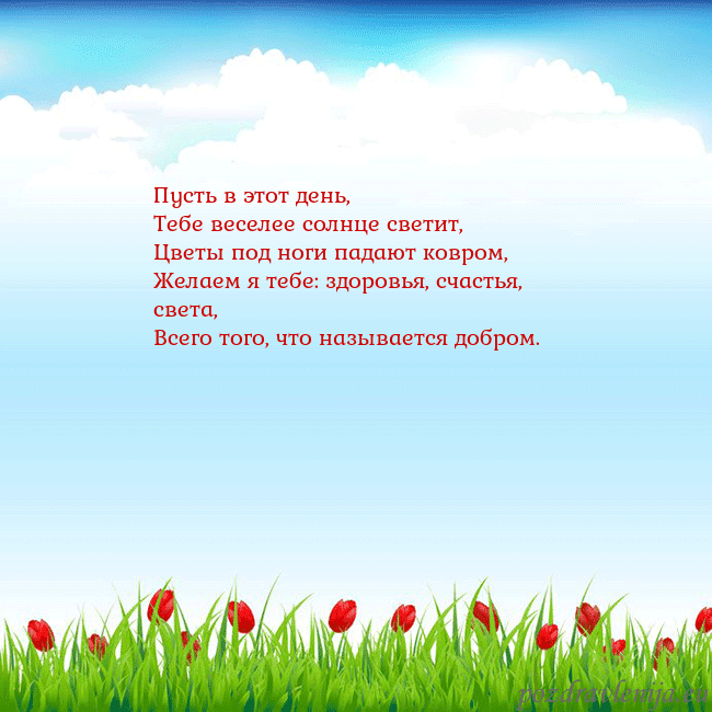Открытка с тюльпанами