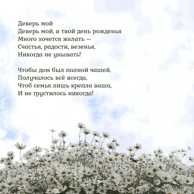Открытка с ромашками