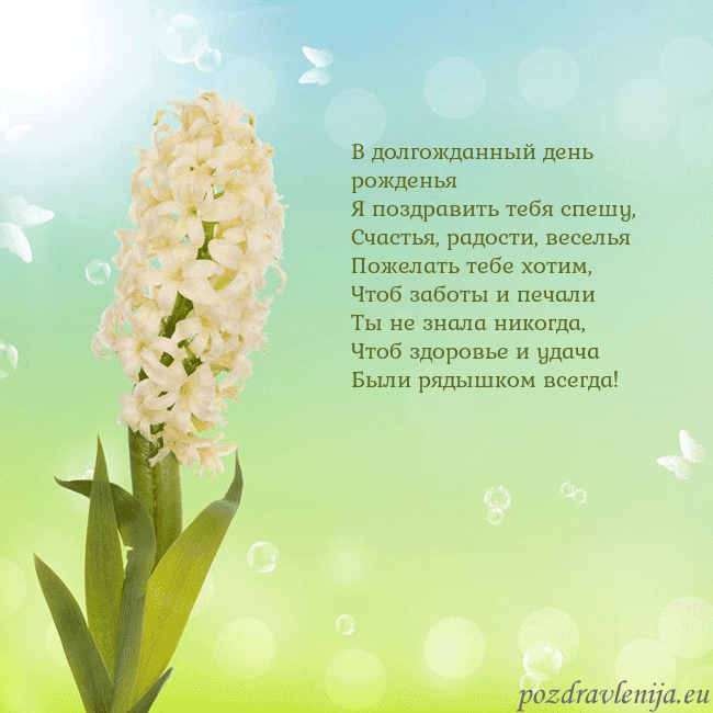 Открытка с гиацинтом