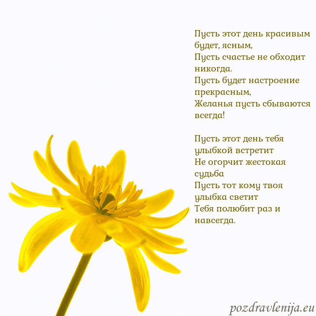 Открытка с желтым цветком