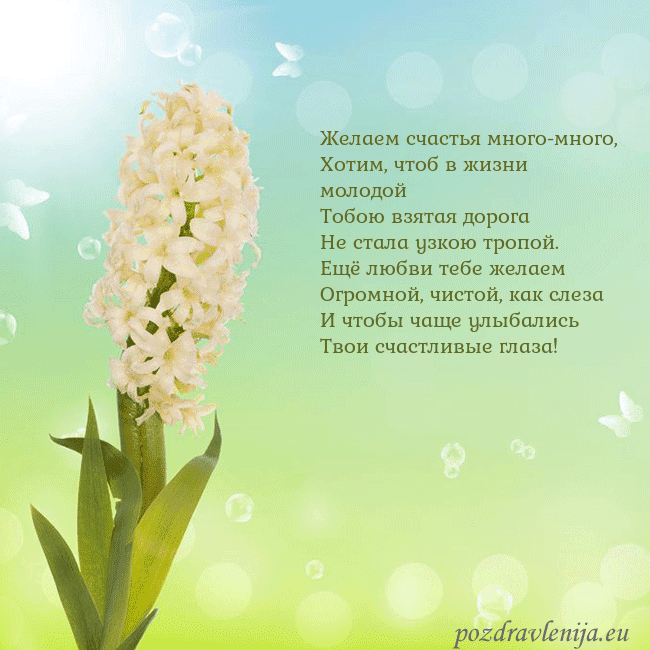 Открытка с гиацинтом