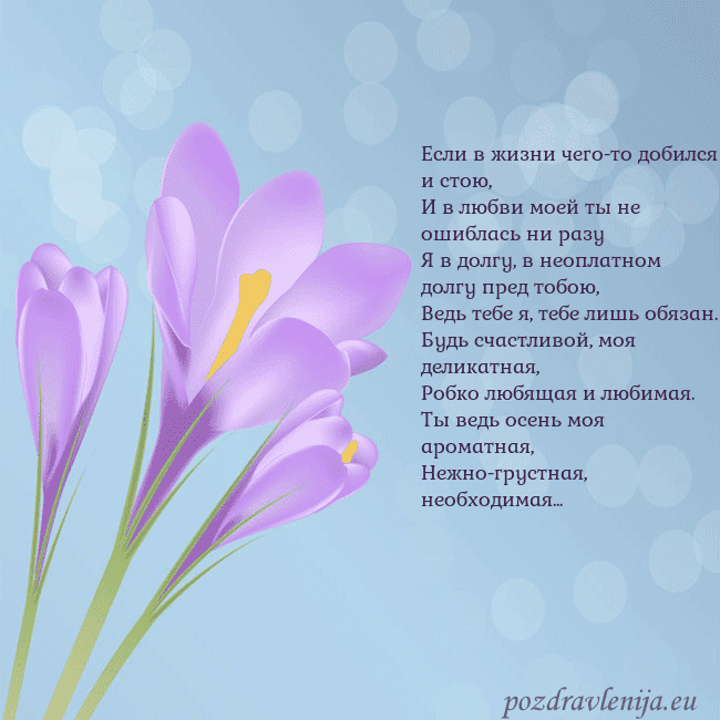 Открытка с крокусом