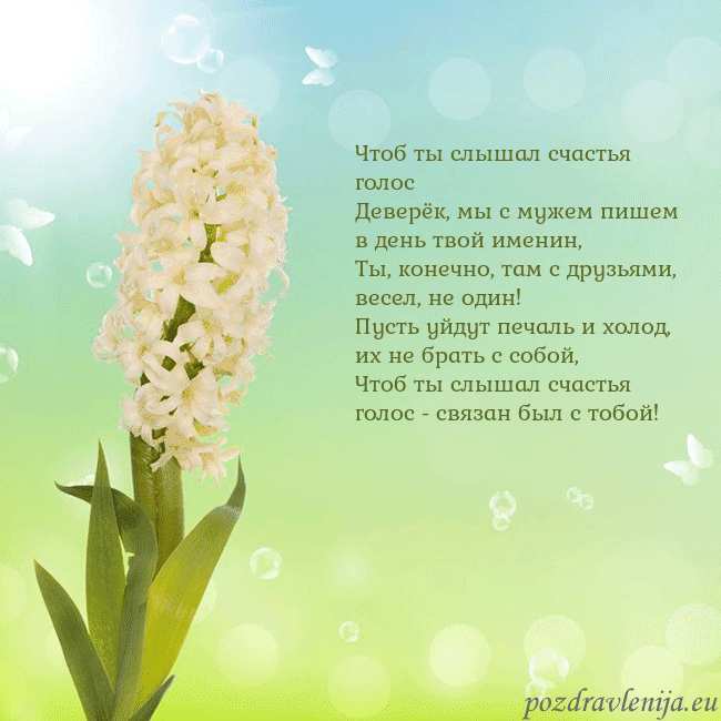 Открытка с гиацинтом
