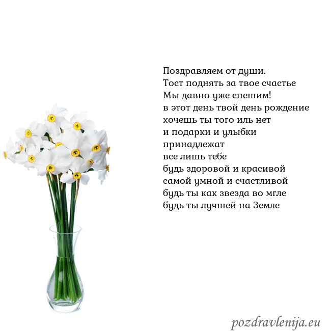 Открытка с нарциссами