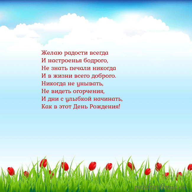 Открытка с тюльпанами