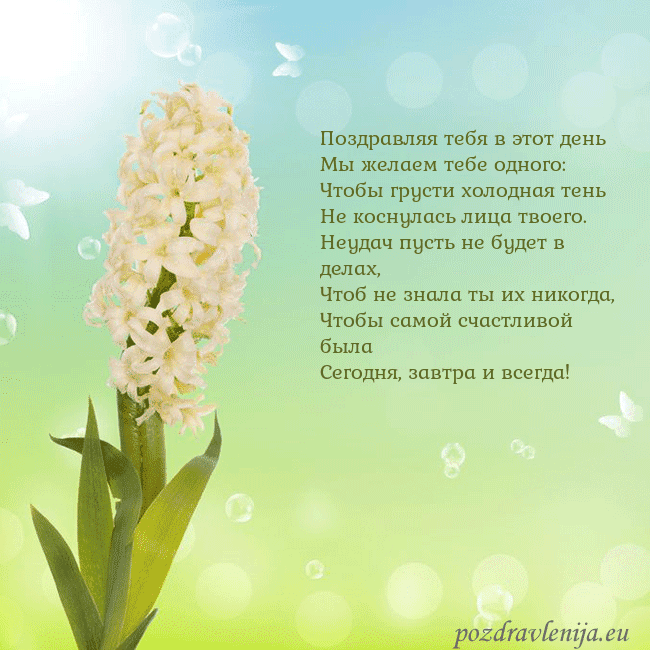 Открытка с гиацинтом