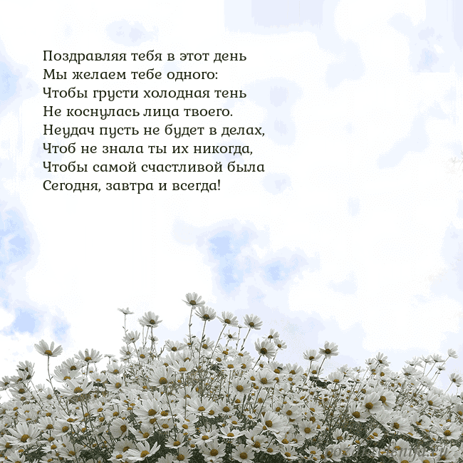 Открытка с ромашками