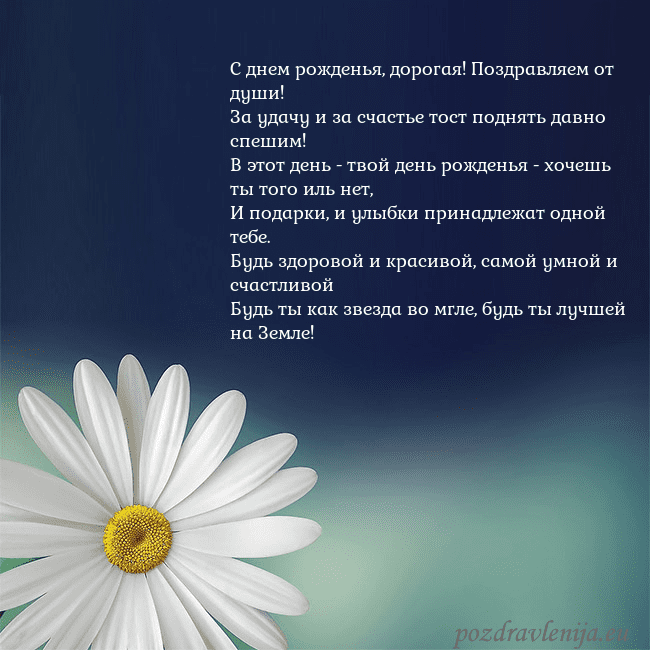 Открытка с большой ромашкой