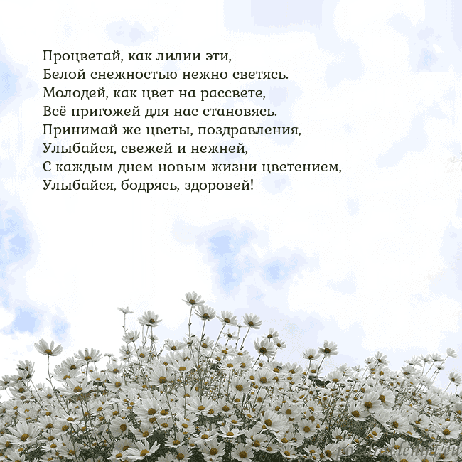 Открытка с ромашками