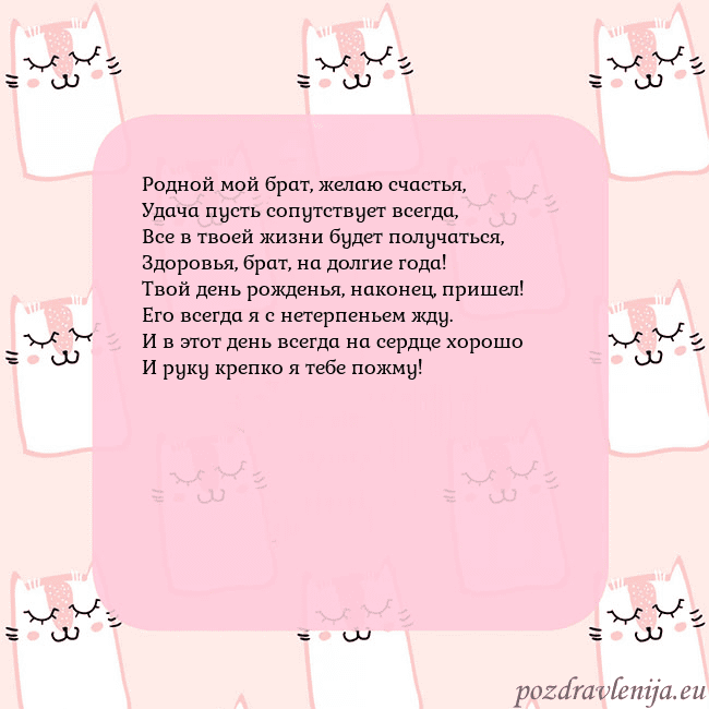 Розовая открытка с забавными кошками