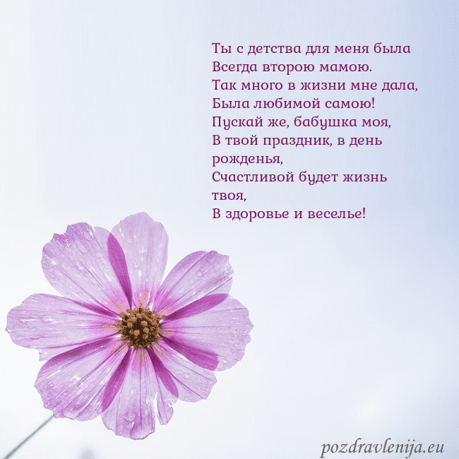 Электронная открытка с фиолетовым цветком