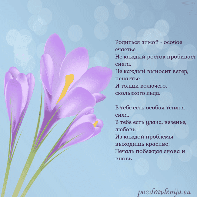 Открытка с крокусом