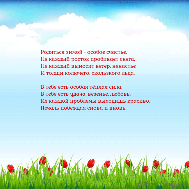 Открытка с тюльпанами