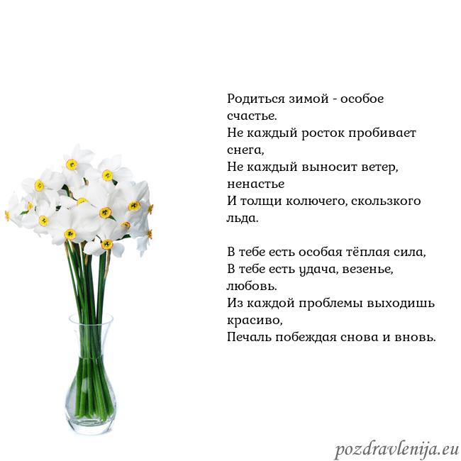 Открытка с нарциссами