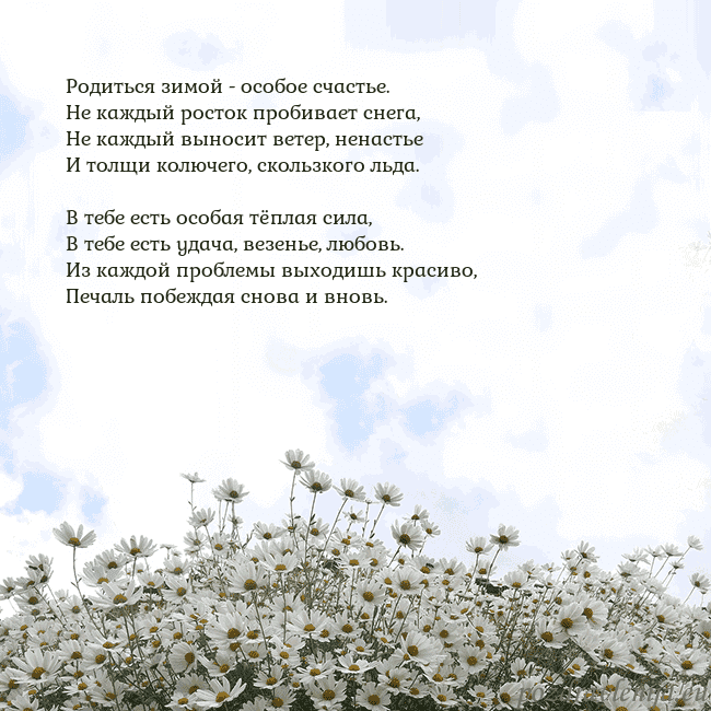 Открытка с ромашками