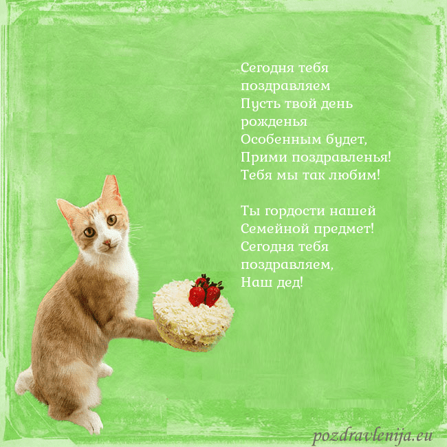Забавная открытка на день рождения с кошкой и тортом