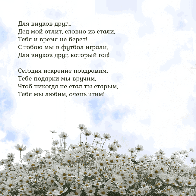 Открытка с ромашками
