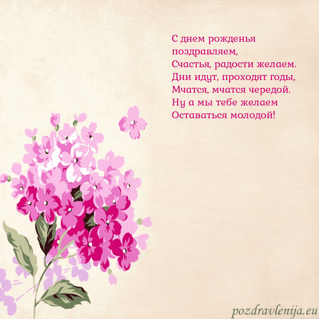 Открытка с гортензией