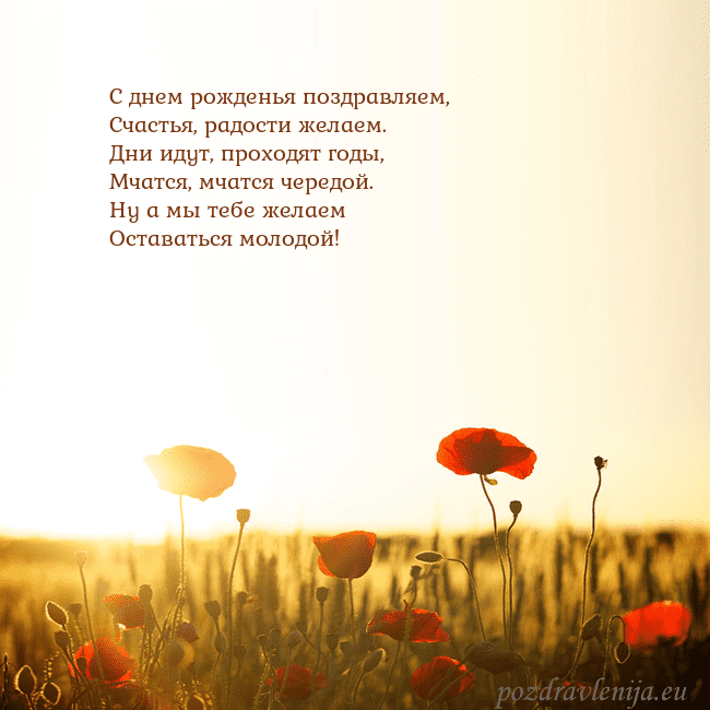 Электронная открытка с полем маков