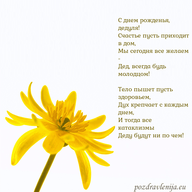 Открытка с желтым цветком