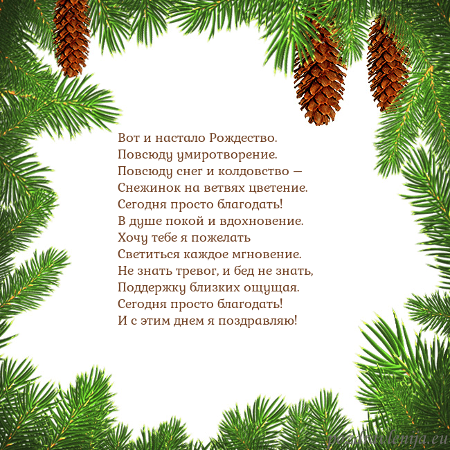 Новогодняя открытка с еловыми шишками Вот и настало Рождество.
Повсюду умиротворение.
Новогодняя открытка с еловыми шишками