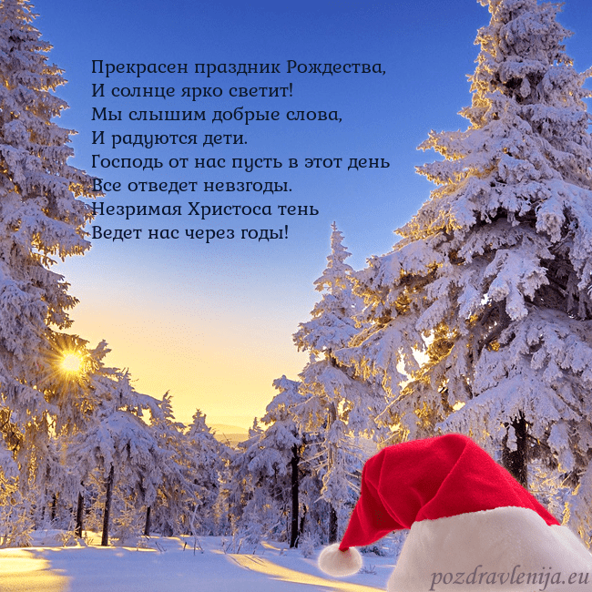 Новогодняя открытка со снежным лесом