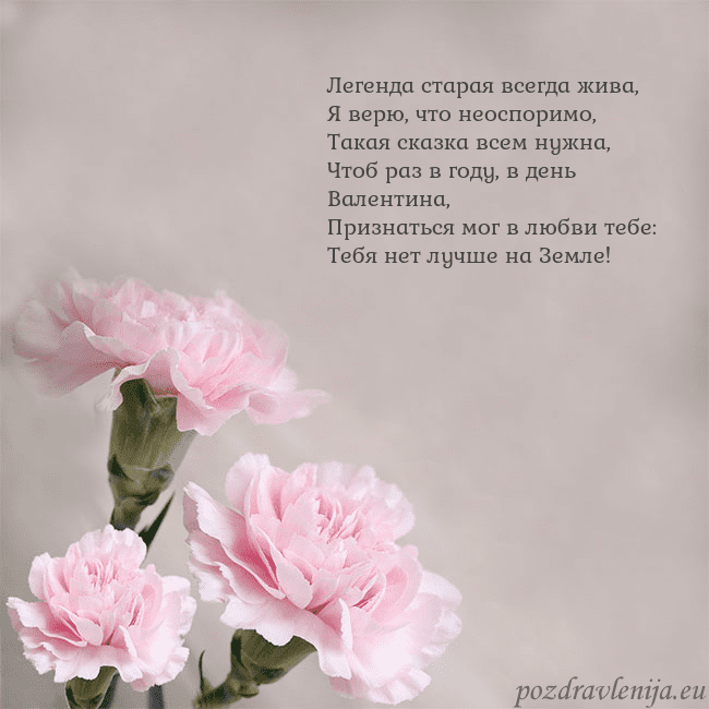 Открытка с розовыми гвоздиками Легенда старая всегда жива,
Я верю, что неоспоримо Открытка с розовыми гвоздиками