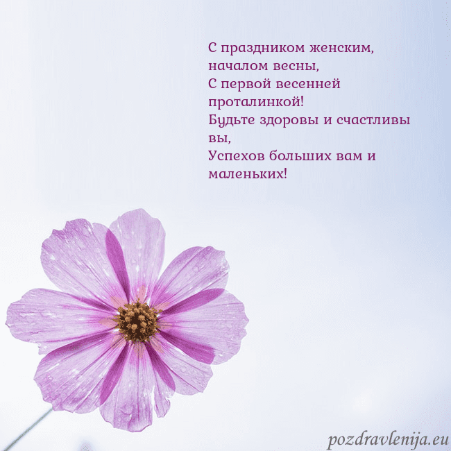 Электронная открытка с фиолетовым цветком