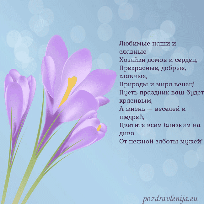 Открытка с крокусом