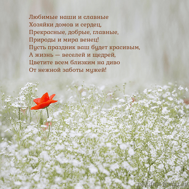 Электронная открытка с белыми цветами Любимые наши и славные
Хозяйки домов и сердец,
Пре Электронная открытка с белыми цветами