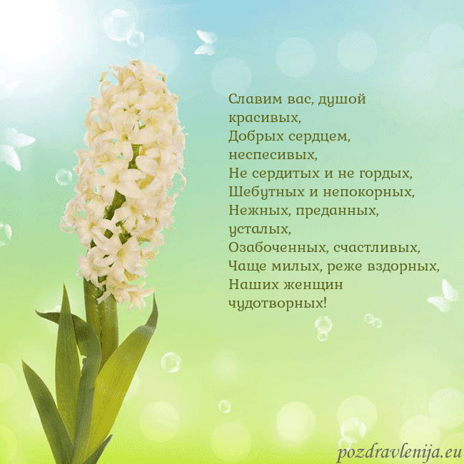 Открытка с гиацинтом Славим вас, душой красивых,
Добрых сердцем, неспес Открытка с гиацинтом