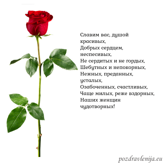 Открытка с красной розой Славим вас, душой красивых,
Добрых сердцем, неспес Открытка с красной розой