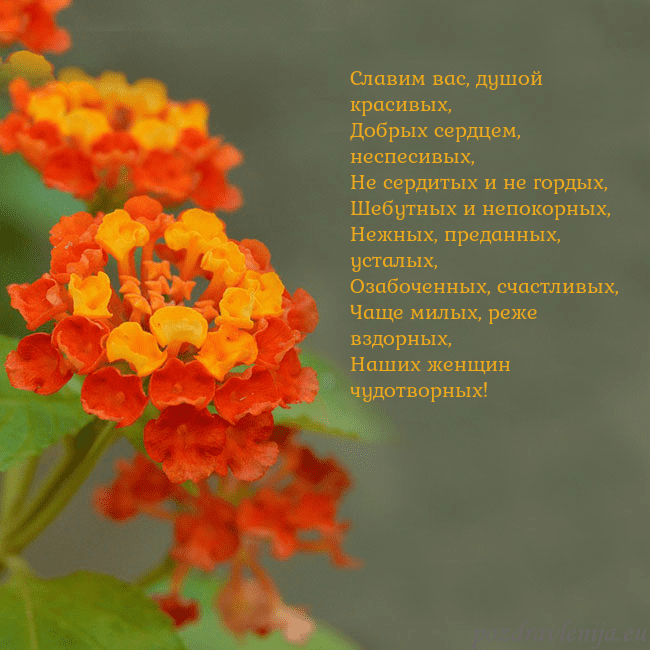 Открытка с оранжевыми цветами Славим вас, душой красивых,
Добрых сердцем, неспес Открытка с оранжевыми цветами