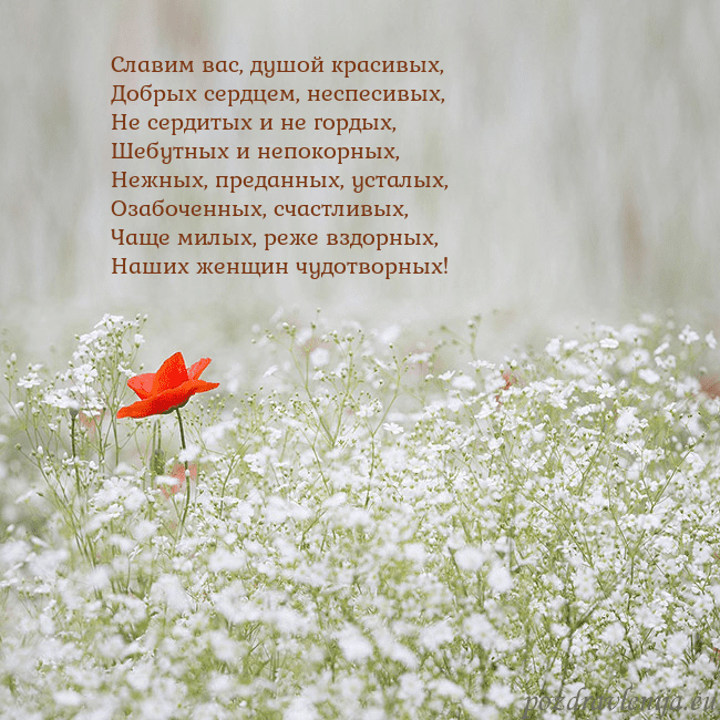 Электронная открытка с белыми цветами Славим вас, душой красивых,
Добрых сердцем, неспес Электронная открытка с белыми цветами