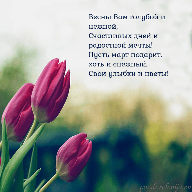 Открытка с тремя красными тюльпанами Весны Вам голубой и нежной,
Счастливых дней и радо Открытка с тремя красными тюльпанами