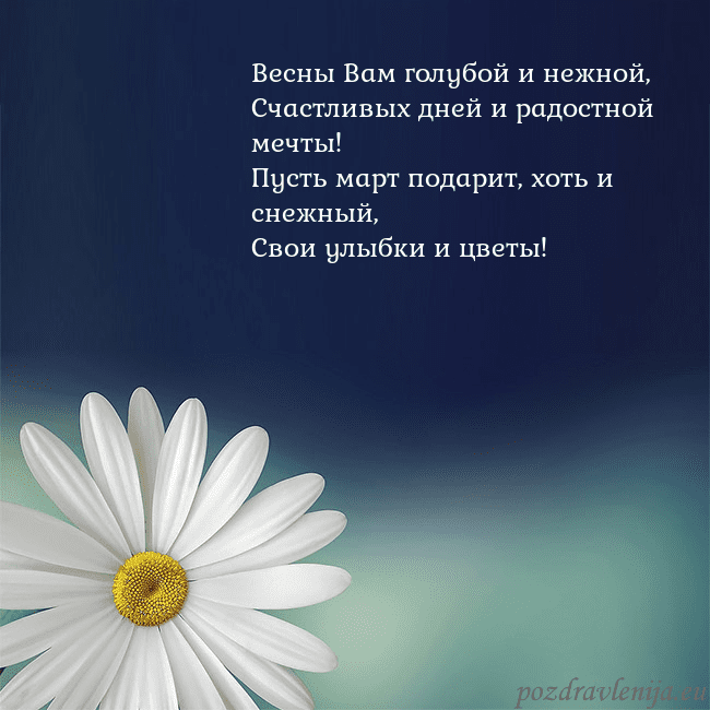 Открытка с большой ромашкой Весны Вам голубой и нежной,
Счастливых дней и радо Открытка с большой ромашкой