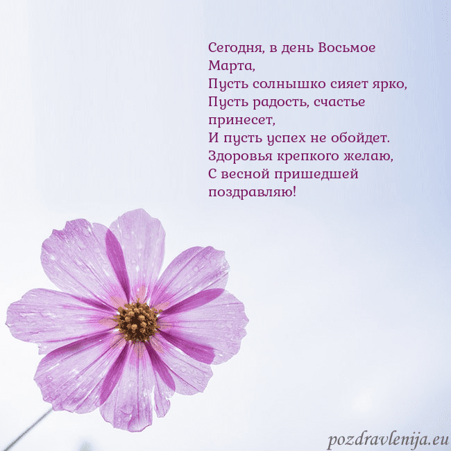 Электронная открытка с фиолетовым цветком Сегодня, в день Восьмое Марта,
Пусть солнышко сияе Электронная открытка с фиолетовым цветком